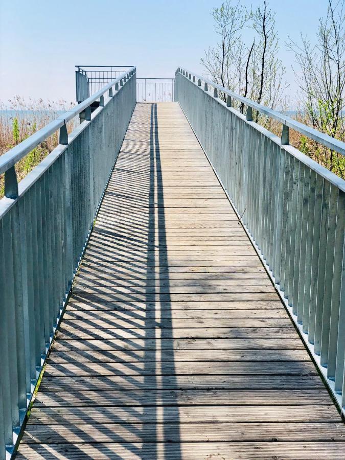 Ferien-Apartment Eisvogel Im Naturschutzgebiet Mit Privatstrand FDH Esterno foto