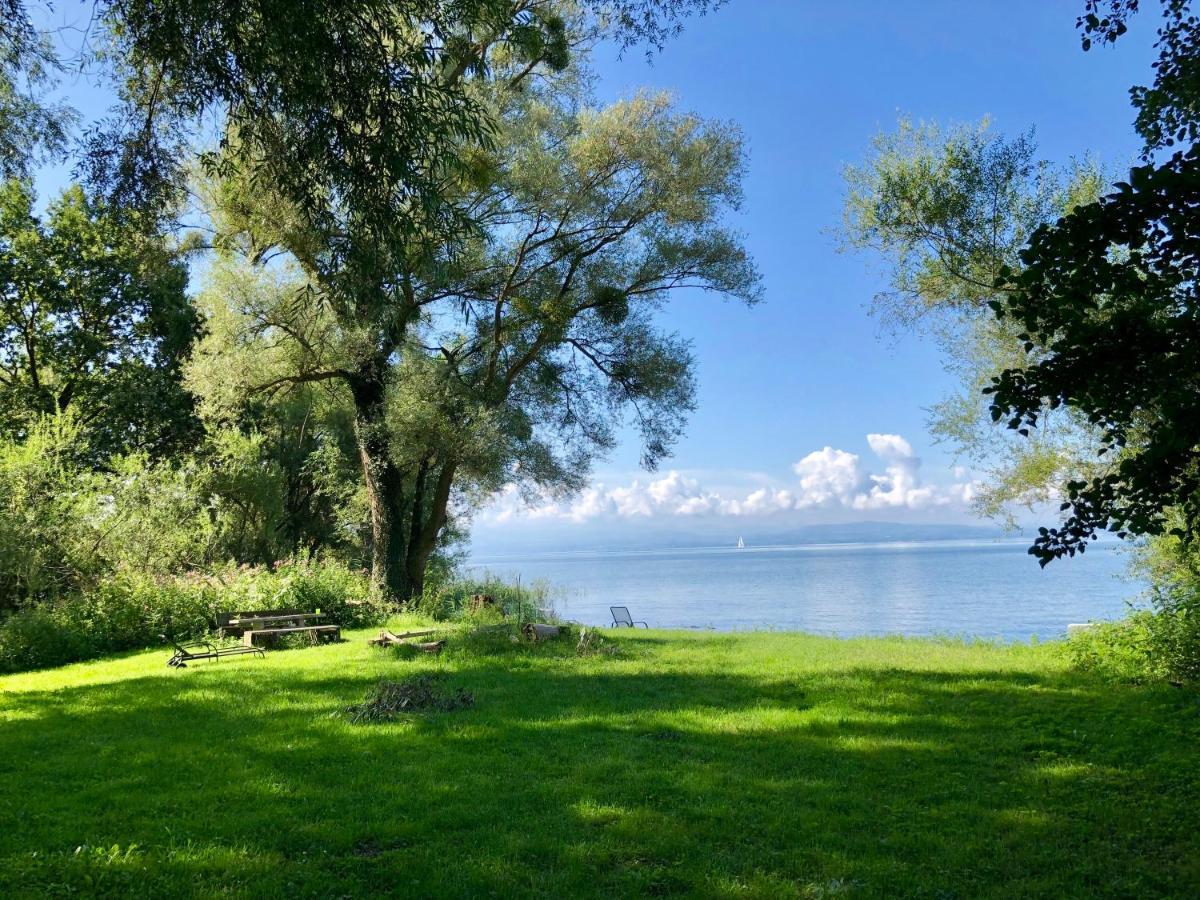 Ferien-Apartment Eisvogel Im Naturschutzgebiet Mit Privatstrand FDH Esterno foto