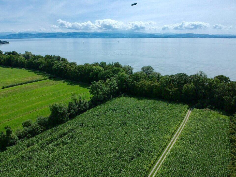 Ferien-Apartment Eisvogel Im Naturschutzgebiet Mit Privatstrand FDH Esterno foto